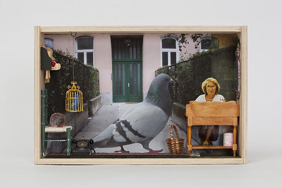 Pigeons